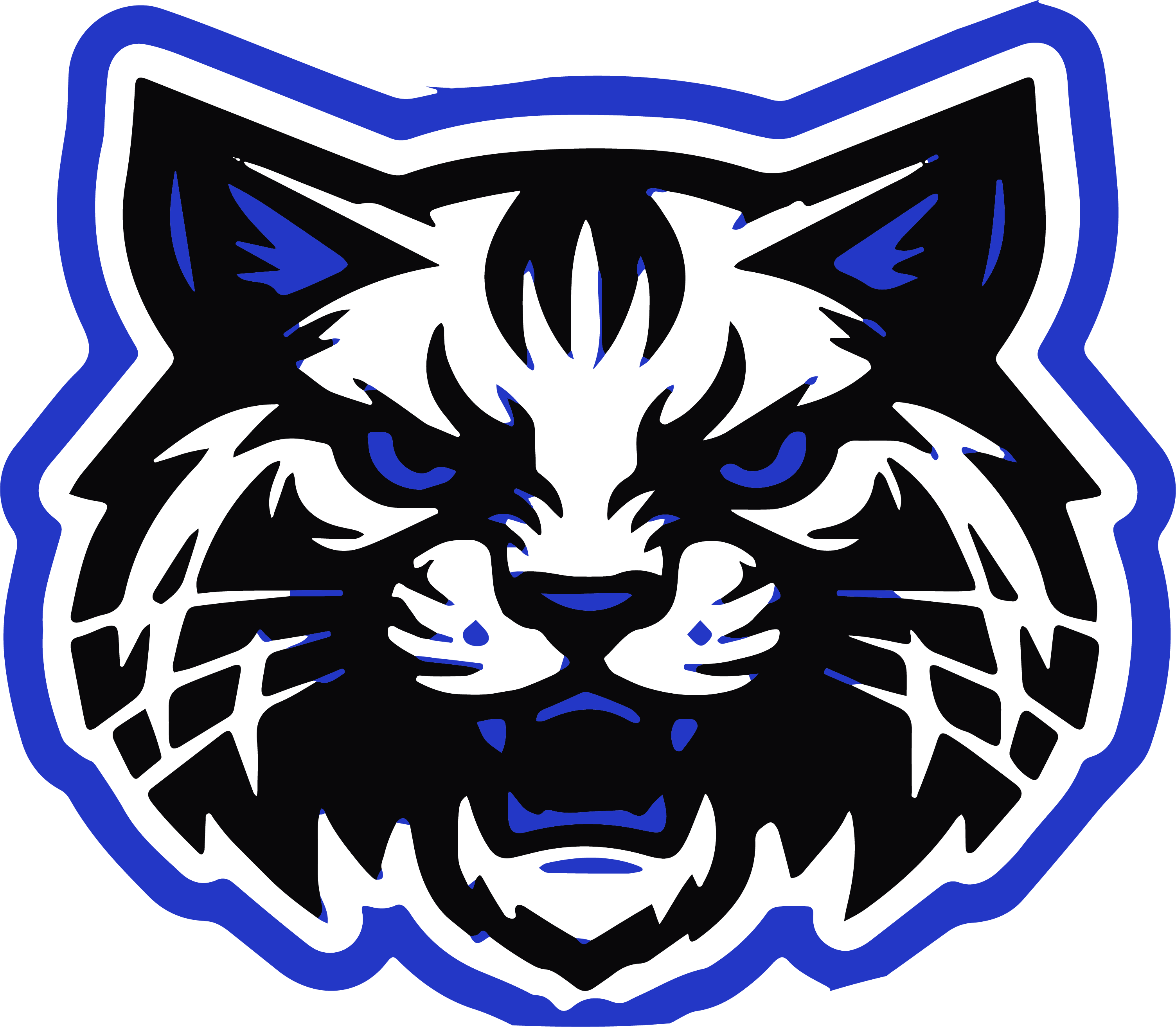 Laurel Wildcats Boys & Girls Club Clothing